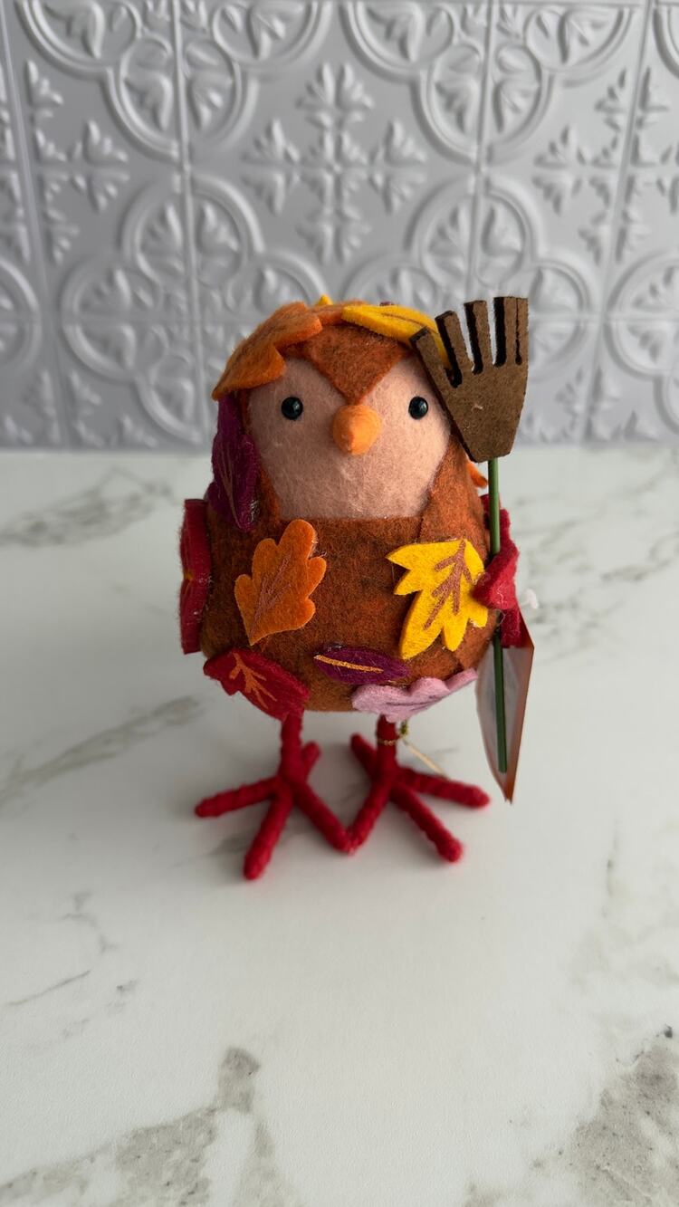 Target Halloween 2026 Featherly Friends Bird Raker Hyde & EEK! NWT
